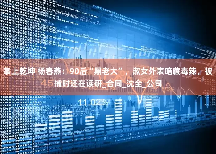 掌上乾坤 杨春燕：90后“黑老大”，淑女外表暗藏毒辣，被捕时还在读研_合同_沈全_公司